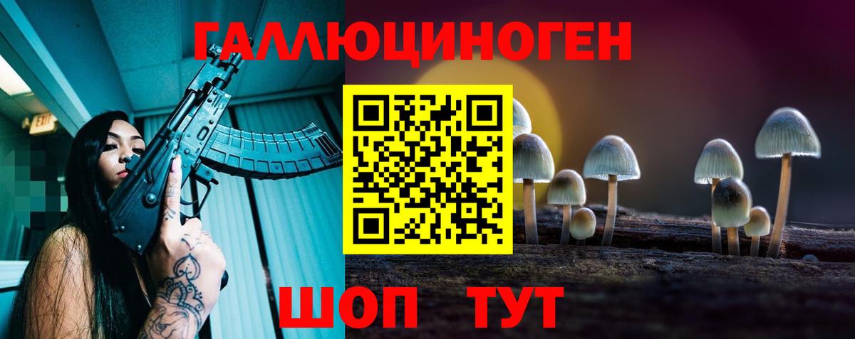 Галлюциногенные грибы Psilocybine cubensis  Вход с VPN  Галлюциногенные грибы MAGIC MUSHROOMS  Заводоуковск 