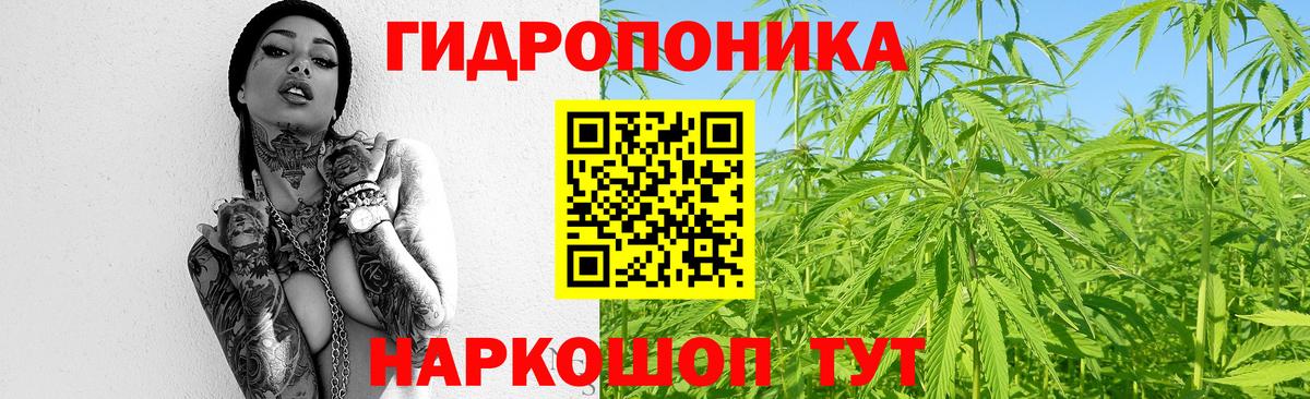 Бошки Шишки ГИДРОПОН Заводоуковск